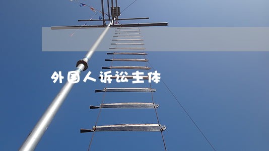 外国人诉讼主体 外国人诉讼主体