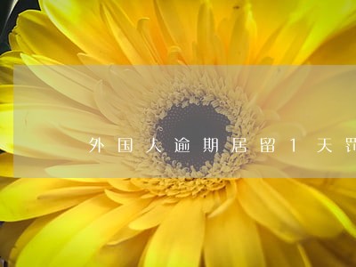 外国人逾期居留1天罚款 外国人逾期居留1天罚款