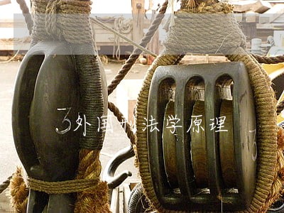 外国刑法学原理 外国刑法学原理