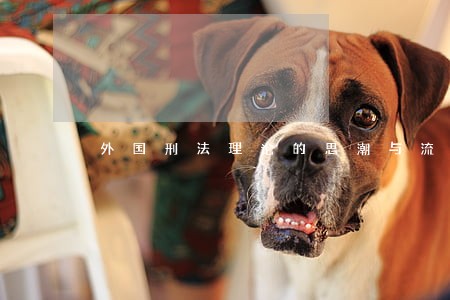 外国刑法理论的思潮与流变pdf