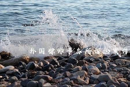 外国律师事务所诉讼案件管理