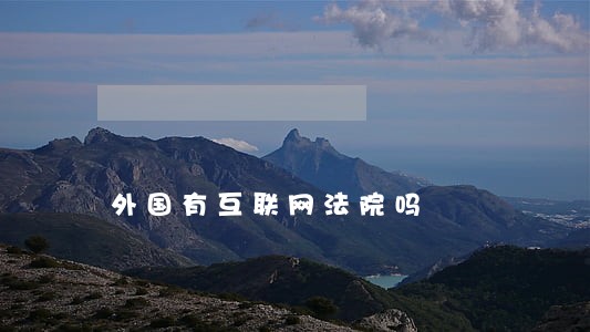 外国有互联网法院吗 外国有互联网法院吗