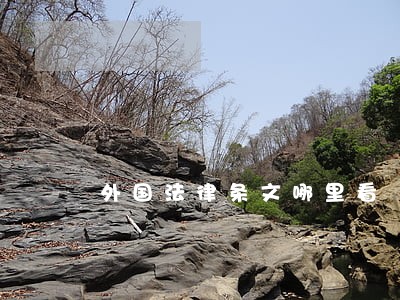 外国法律条文哪里看