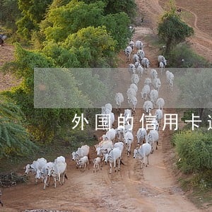 外国的信用卡逾期 外国的信用卡逾期