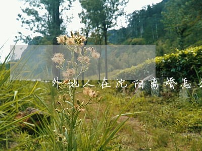 外地人在沈阳离婚怎么处理