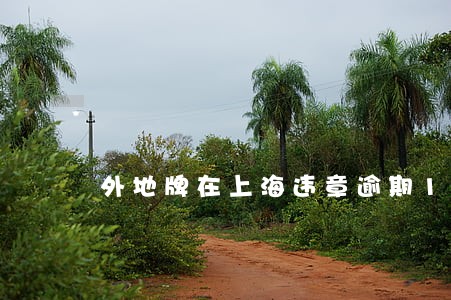外地牌在上海违章逾期15天