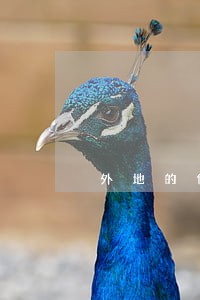 外地的信用卡逾期 外地的信用卡逾期