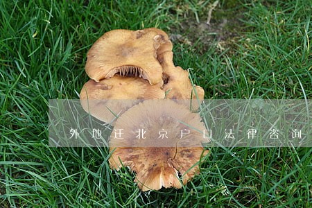 外地迁北京户口法律咨询 外地迁北京户口法律咨询