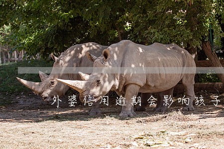 外婆信用逾期会影响孩子吗 外婆信用逾期会影响孩子吗