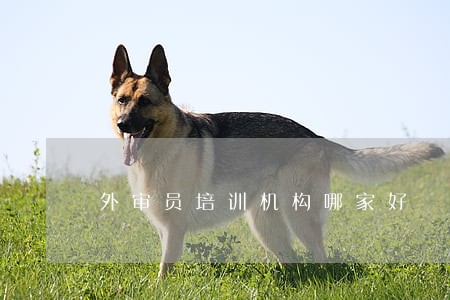 外审员培训机构哪家好 外审员培训机构哪家好