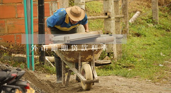 外币逾期贷款利率 外币逾期贷款利率