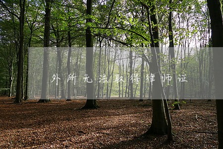 外所无法取得律师证 外所无法取得律师证
