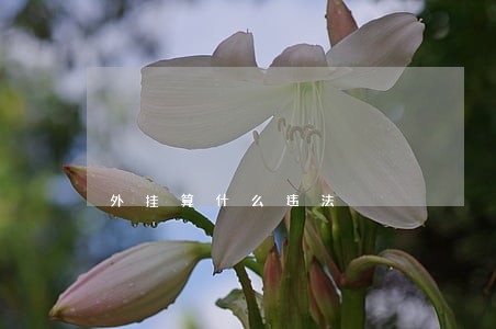 外挂算什么违法 外挂算什么违法