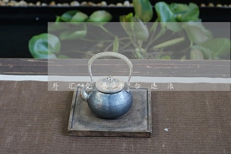 外汇交易平台违法 外汇交易平台违法