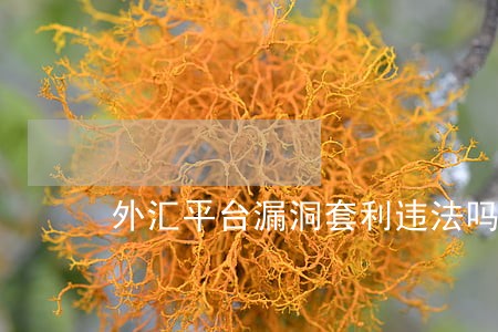 外汇平台漏洞套利违法吗 外汇平台漏洞套利违法吗