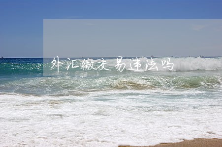 外汇微交易违法吗