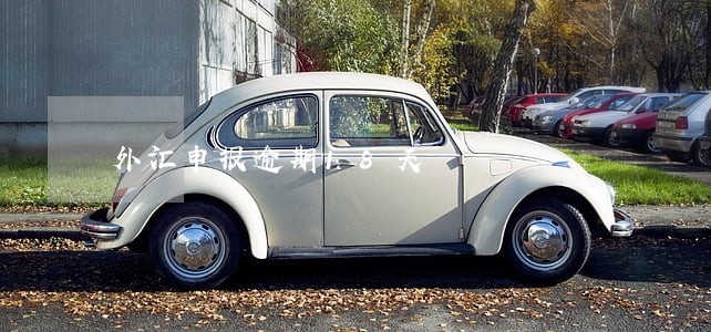 外汇申报逾期18天