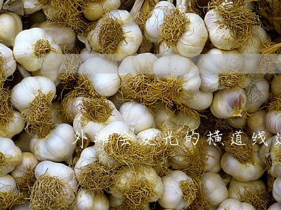 外滩会发光的横道线违法 外滩会发光的横道线违法