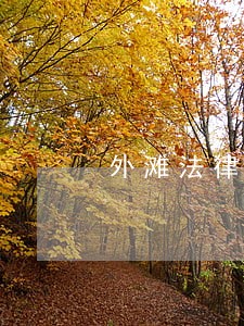 外滩法律顾问 外滩法律顾问