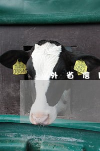 外省信用卡逾期 外省信用卡逾期