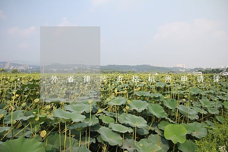 外省律师资格杭州申请律师证 外省律师资格杭州申请律师证