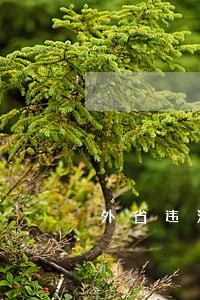 外省违法在哪里办理 外省违法在哪里办理