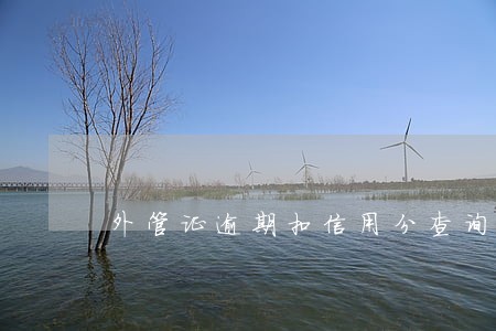 外管证逾期扣信用分查询 外管证逾期扣信用分查询