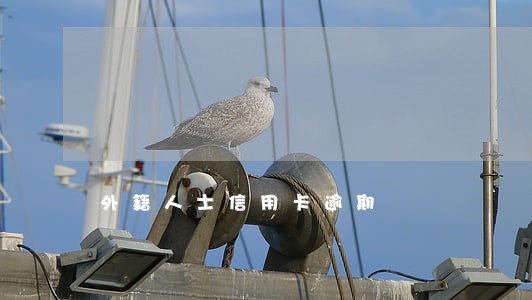 外籍人士信用卡逾期 外籍人士信用卡逾期