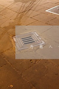 外籍人士大陆法院信息