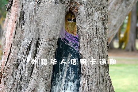 外籍华人信用卡逾期