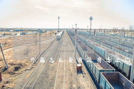 外籍怎么查有没有违法记录 外籍怎么查有没有违法记录