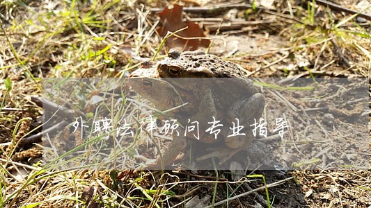 外聘法律顾问专业指导 外聘法律顾问专业指导