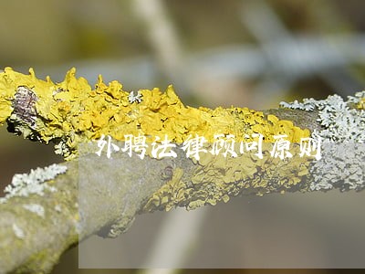 外聘法律顾问原则 外聘法律顾问原则