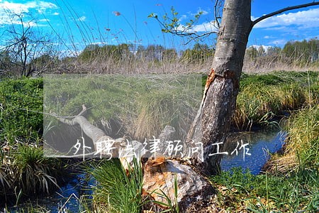 外聘法律顾问工作 外聘法律顾问工作