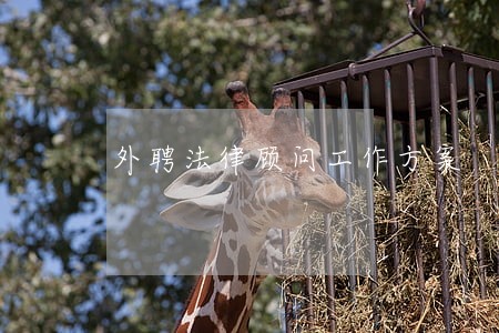 外聘法律顾问工作方案