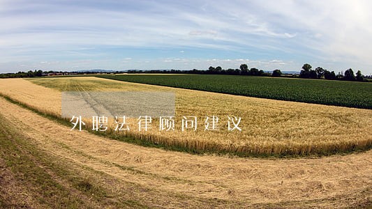 外聘法律顾问建议 外聘法律顾问建议
