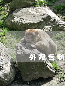 外观专利一般要多少费用 外观专利一般要多少费用