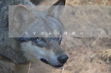 外贸企业法律顾问 外贸企业法律顾问