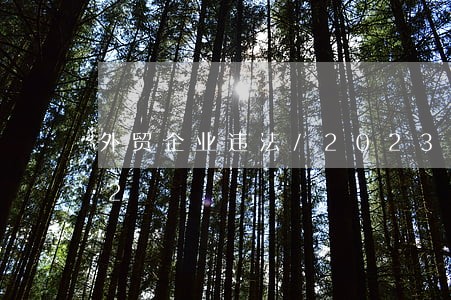 外贸企业违法/2023012666812 外贸企业违法/2023012666812