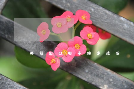外贸出口电子烟违法吗