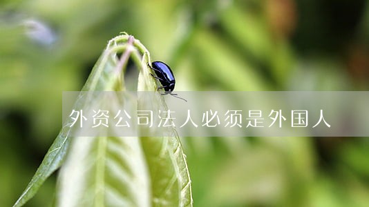 外资公司法人必须是外国人