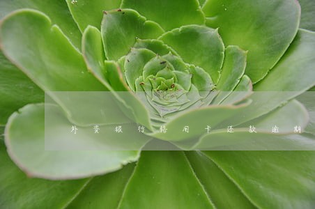 外资银行信用卡还款逾期
