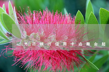 外资银行信用卡逾期会起诉吗 外资银行信用卡逾期会起诉吗