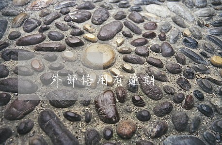 外部信用有逾期 外部信用有逾期