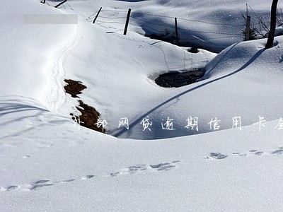 外部网贷逾期信用卡会怎么样