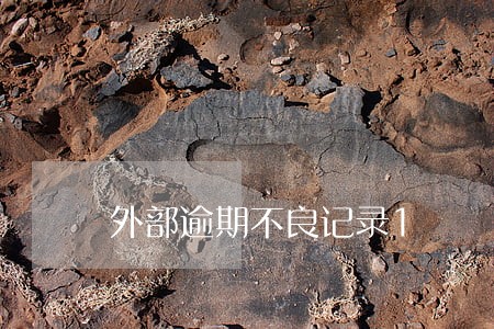 外部逾期不良记录1 外部逾期不良记录1
