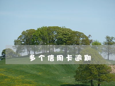 多个信用卡逾期 多个信用卡逾期