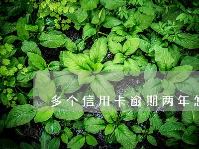 多个信用卡逾期两年怎么办 多个信用卡逾期两年怎么办