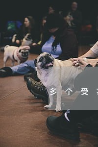 多个受害人如何申请法院强制执行 多个受害人如何申请法院强制执行