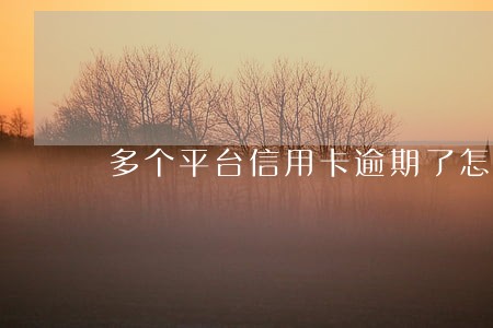 多个平台信用卡逾期了怎么还 多个平台信用卡逾期了怎么还